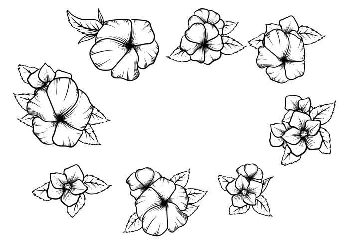 Gratis Handgetekende Pansy Vector