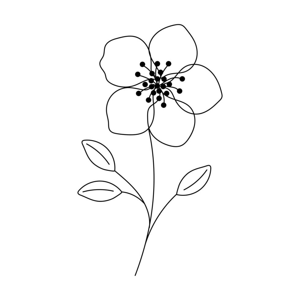 hand- getrokken bloem in lijn kunst tekening stijl. botanisch decoratief element. vector