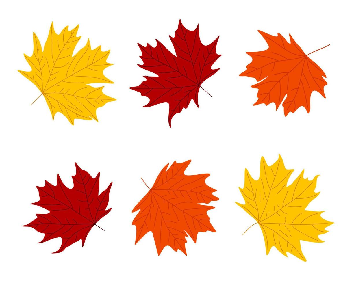 kleurrijk herfst esdoorn- bladeren set. herfst- geel rood oranje blad. esdoorn- blad val. vlak gemakkelijk abstract elementen voor seizoensgebonden gebladerte ontwerp. vector illustratie.