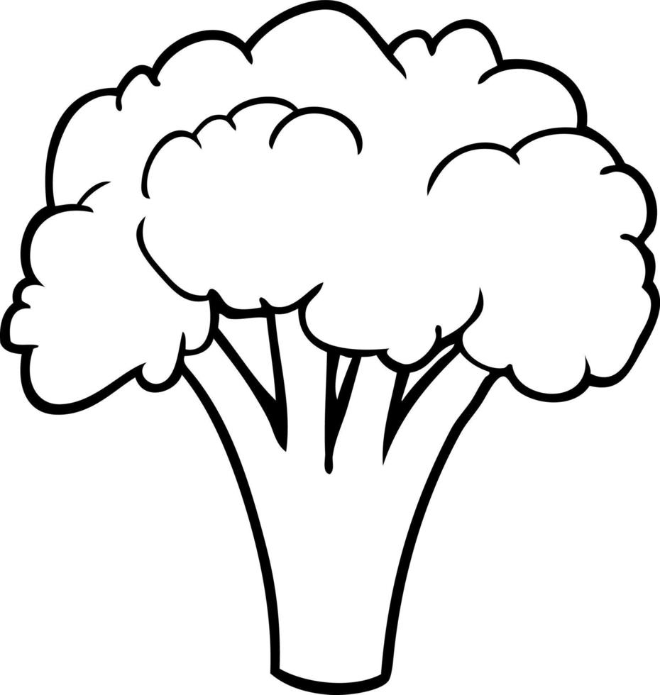lijn tekening van een broccoli vector