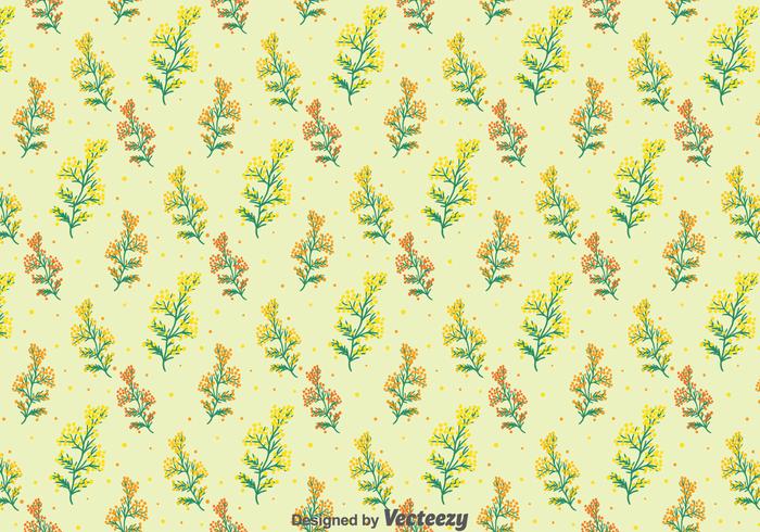 Mimosa Bloemen Naadloos Patroon vector