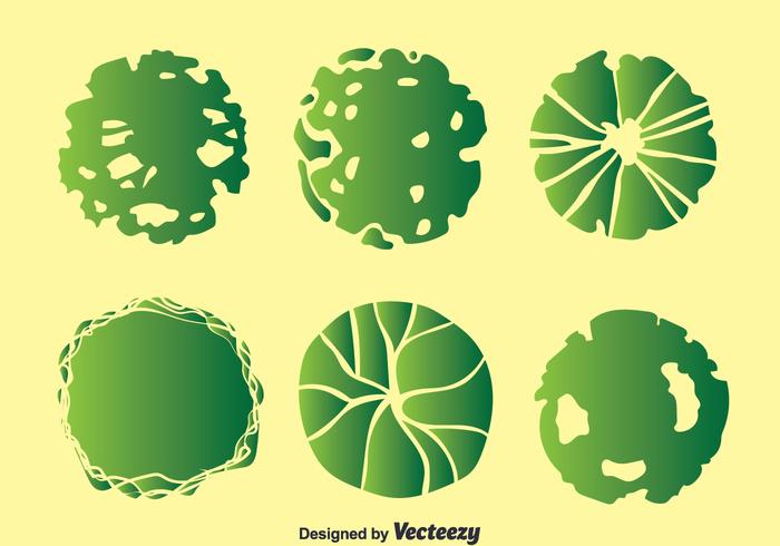 Plant op Pot Top View Collectie Vector