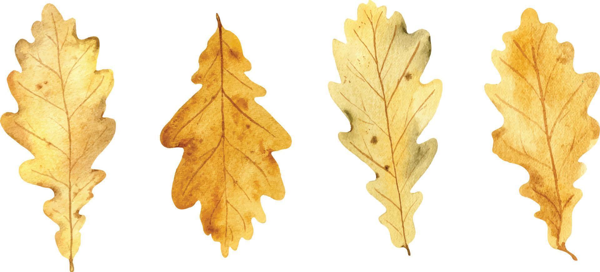 waterverf hand- getrokken herfst blad in realistisch botanisch stijl vector