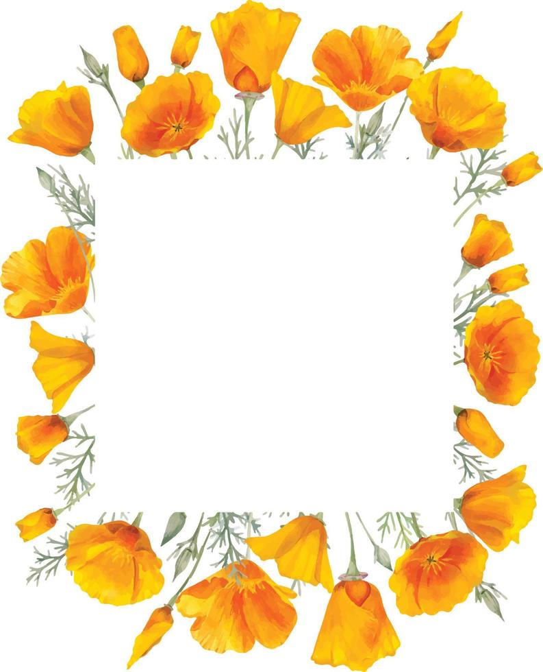 waterverf oranje Californië klaprozen bloemen vector