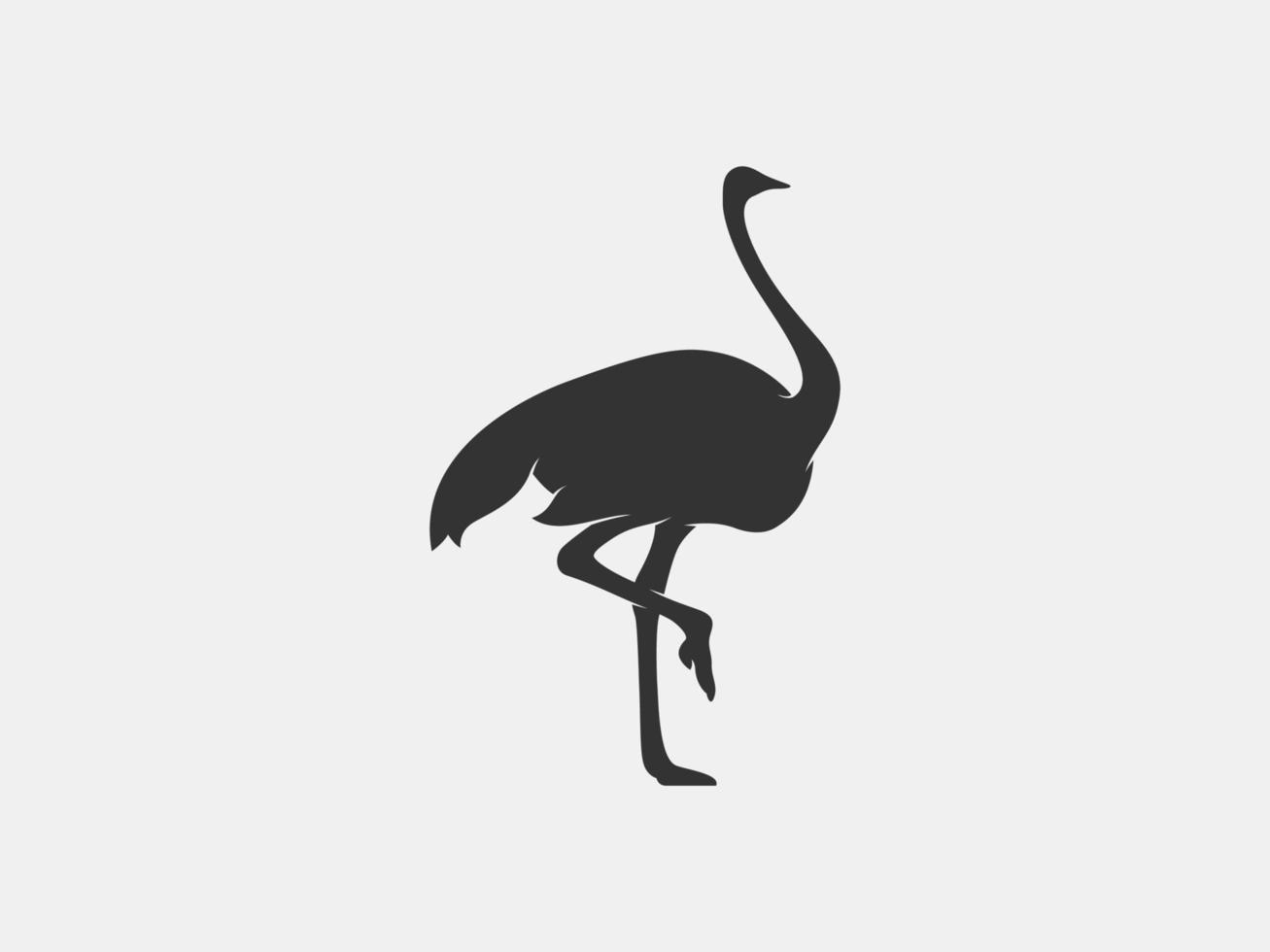 struisvogel vector silhouet
