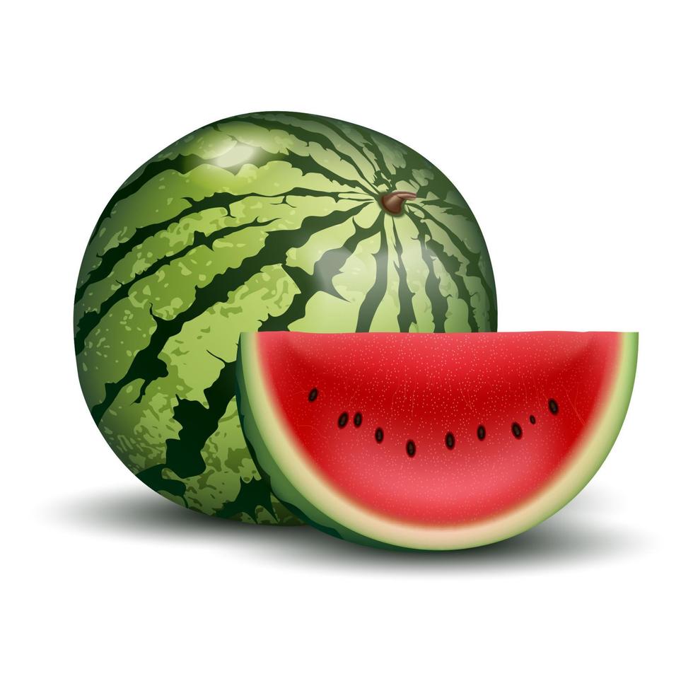 3d vector illustratie rood fruit watermeloen, besnoeiing voor de helft, gesneden plak BES met rood vlees. 3d realistisch vector icoon