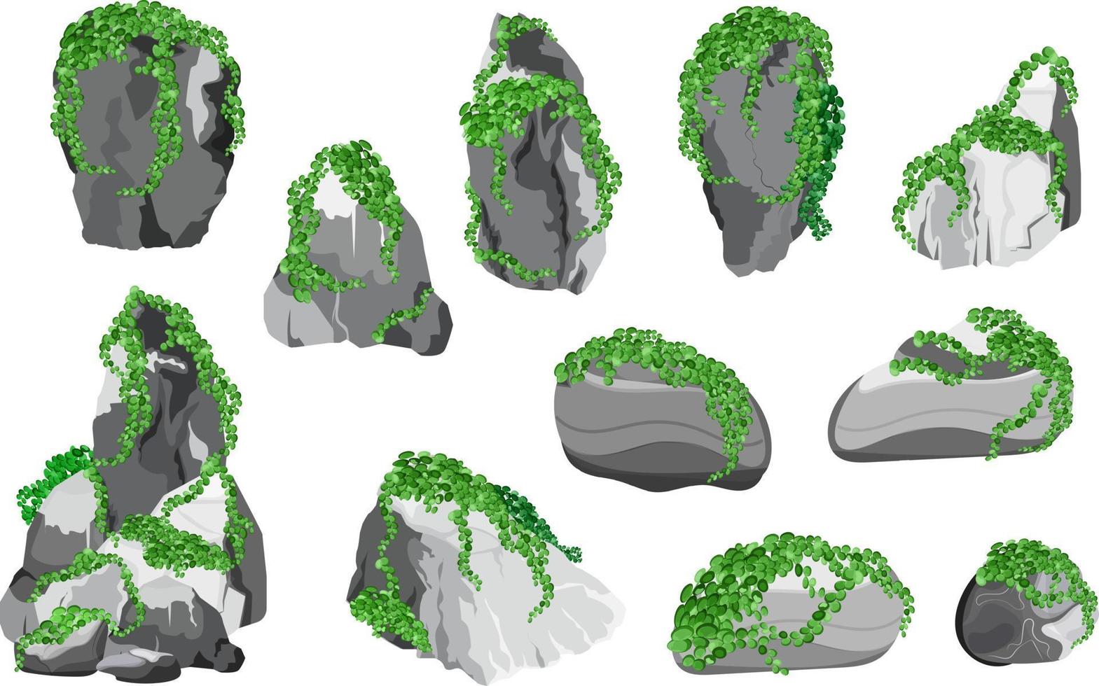 verzameling van stenen en planten van divers vormen.kust kiezels, kasseien, grind, mineralen en geologisch formaties.rock fragmenten, keien en gebouw materiaal. vector