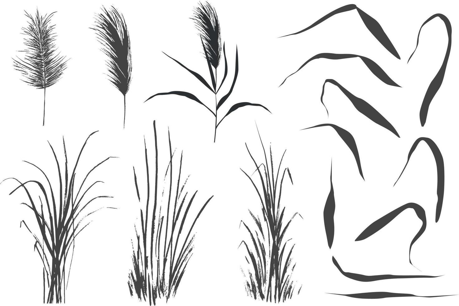 beeld van een groen riet of biezen Aan een wit background.isolated vector tekening.