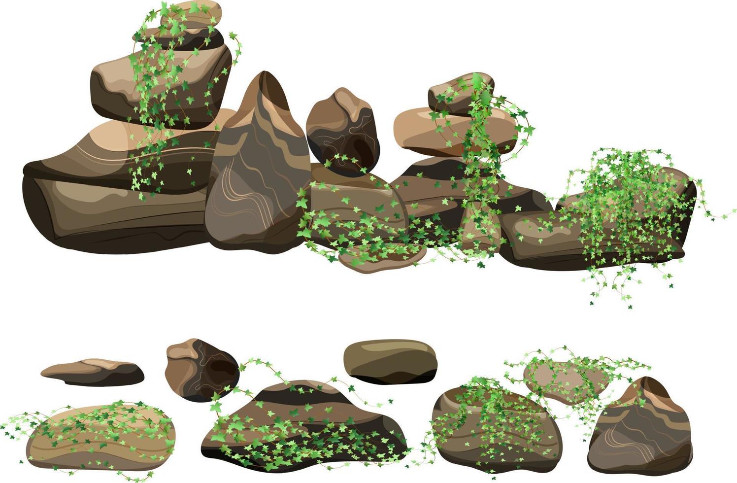 verzameling van stenen en planten van divers vormen.kust kiezels, kasseien, grind, mineralen en geologisch formaties.rock fragmenten, keien en gebouw materiaal. vector