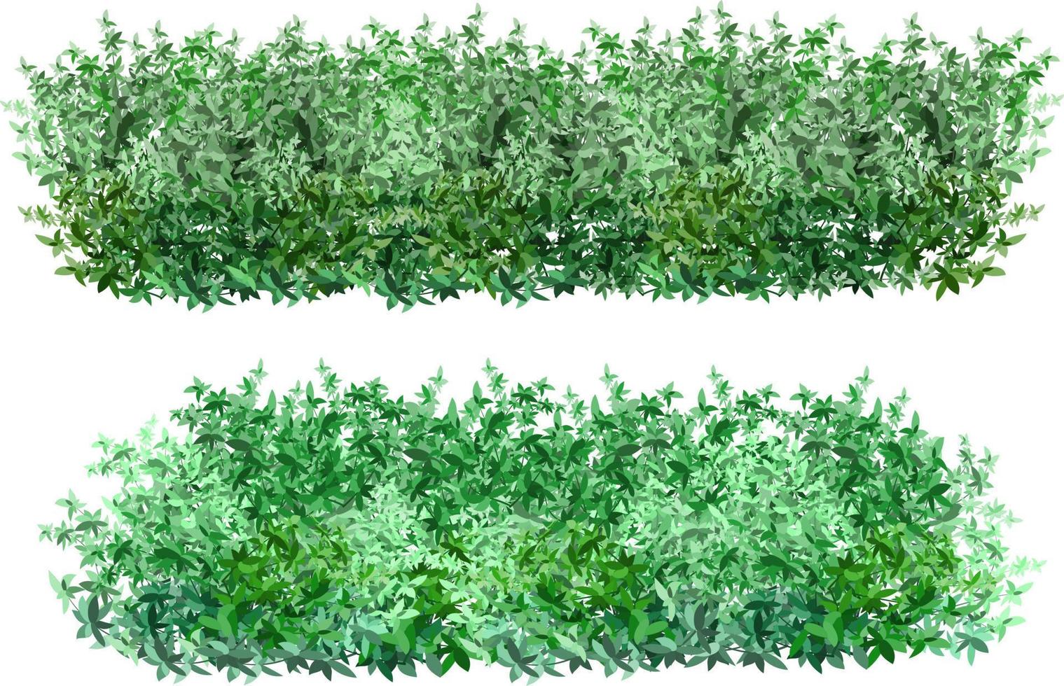 reeks van sier- groen fabriek in de het formulier van een hedge.realistisch tuin struik, seizoensgebonden struik, buxus, boom kroon struik gebladerte. vector