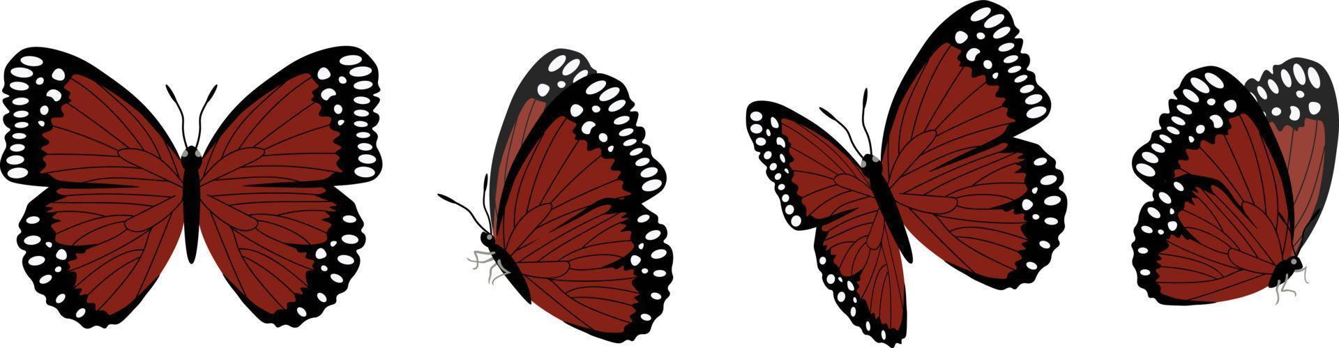 vector set van prachtige kleurrijke vlinders op een witte achtergrond