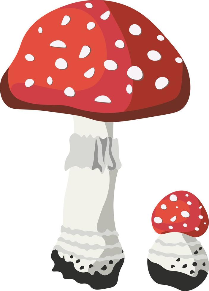 herfst champignons geïsoleerd vector illustratie Aan wit achtergrond