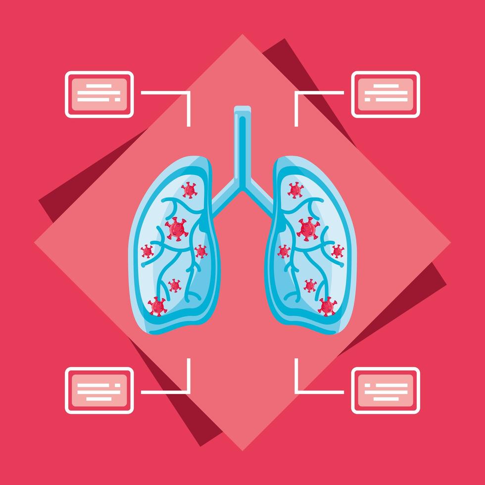 infographic met door virus aangetaste longen vector
