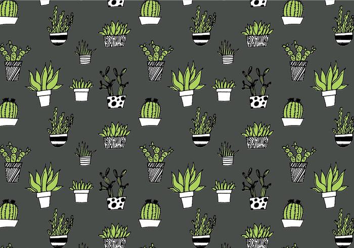 Succulent Herhaalpatroon vector