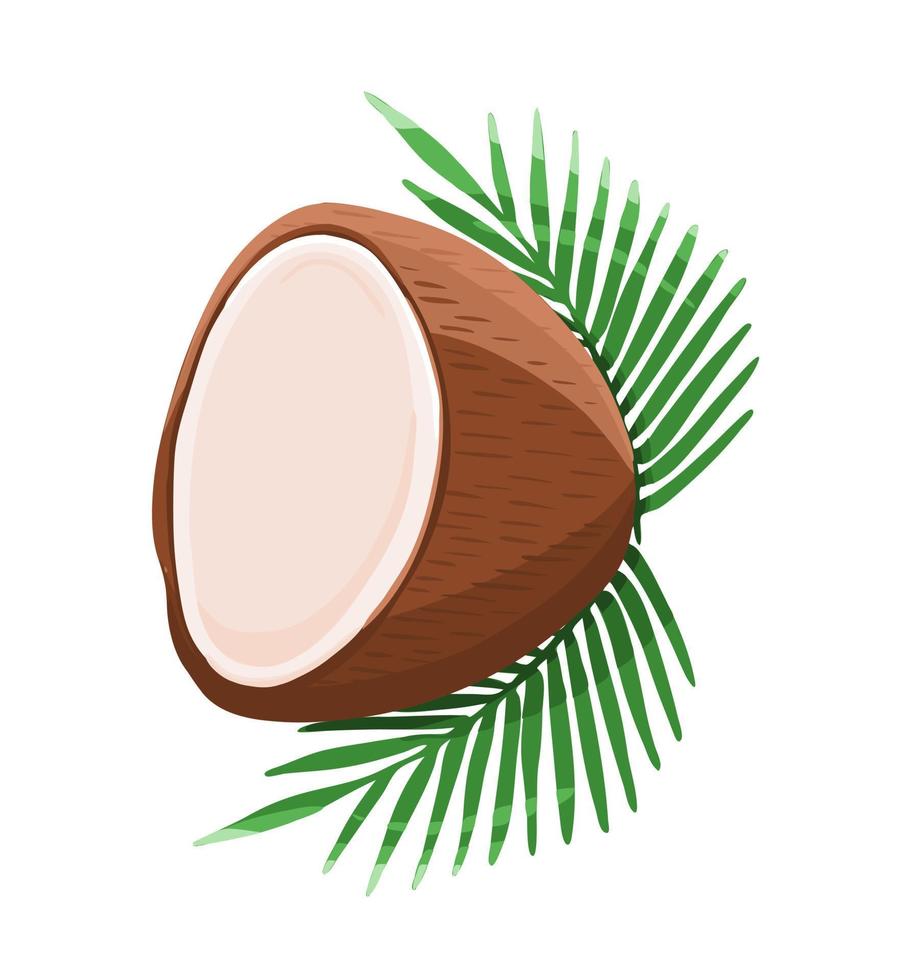 voor de helft kokosnoot met bladeren vector