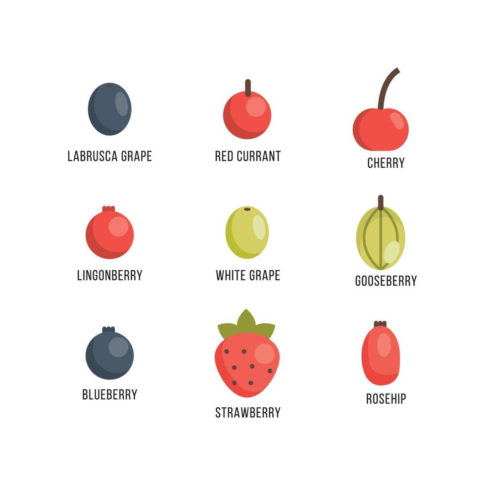 vlak bloemen' fruit vector