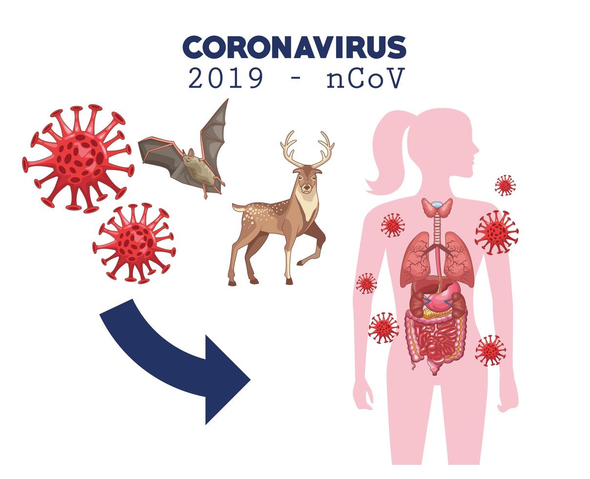 coronavirus infographic met vrouwenfiguur en dieren vector