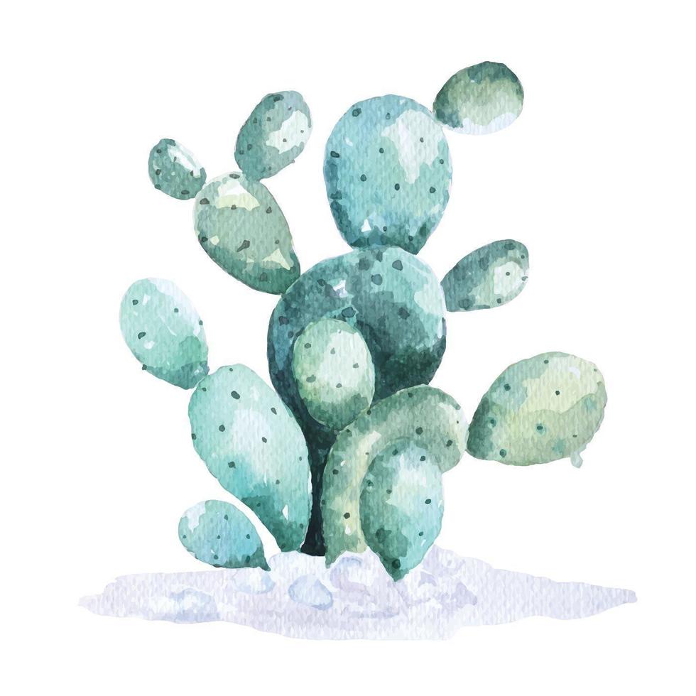 cactus beschilderd met aquarellen vector