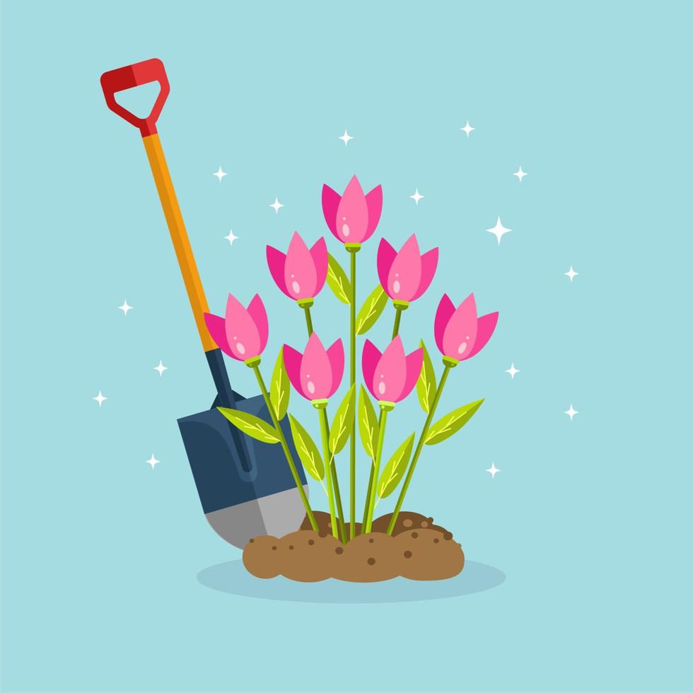 Schep met bloemen, bodem, grond. aanplant tulpen in de lente. tuinieren vector