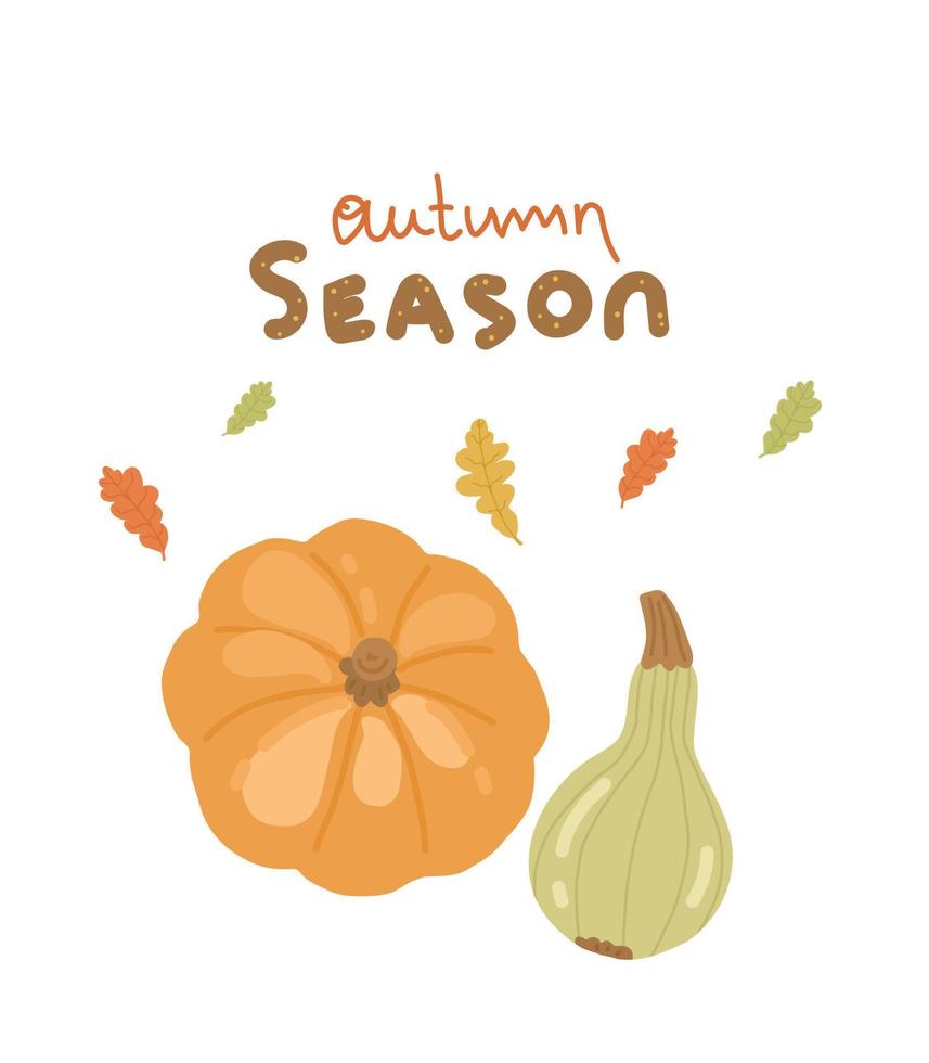 pompoen illustratie. seizoensgebonden herfst groente pompoen. herfst illustratie voor ansichtkaart, poster, boek, kladblok. vector