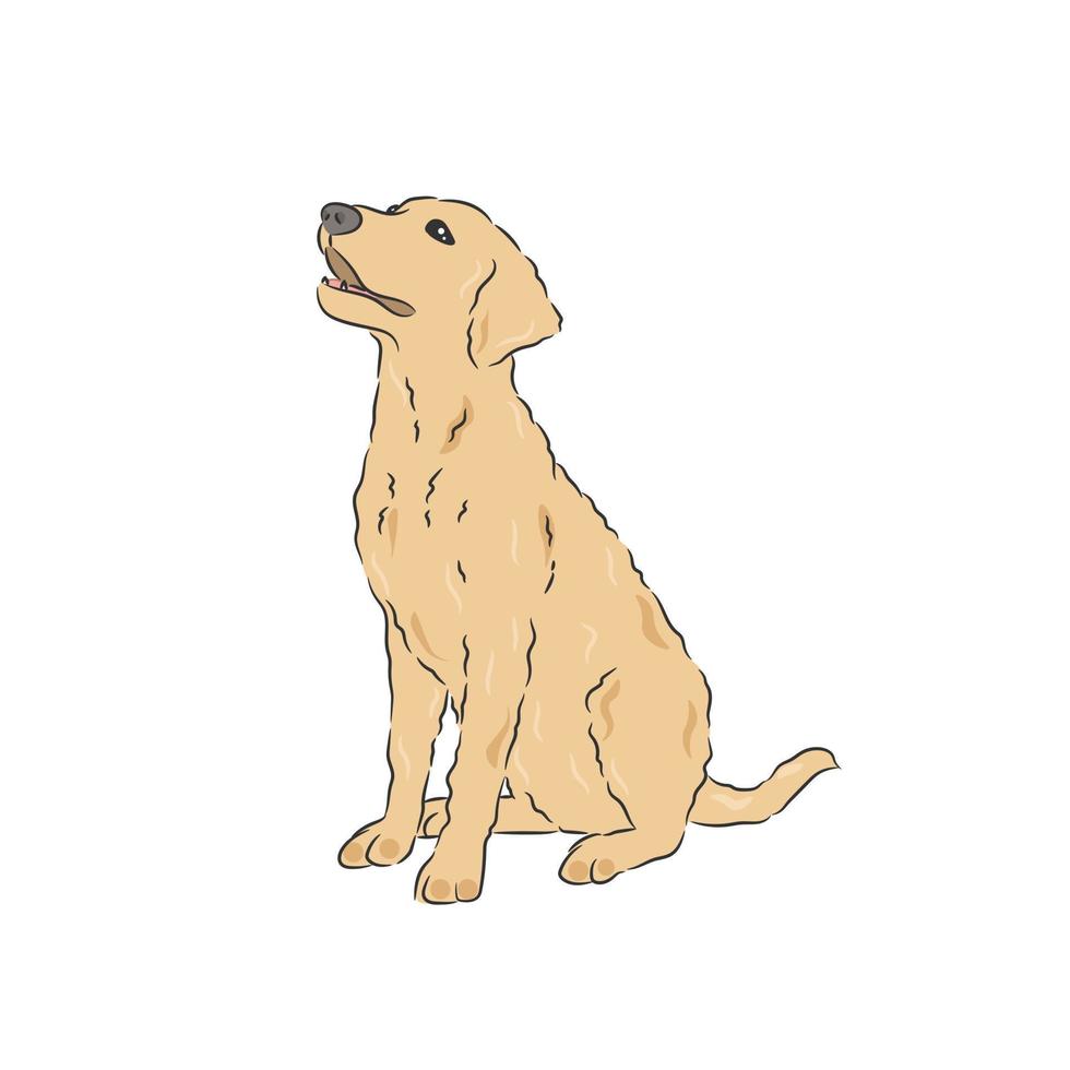 gouden retriever zittend vector