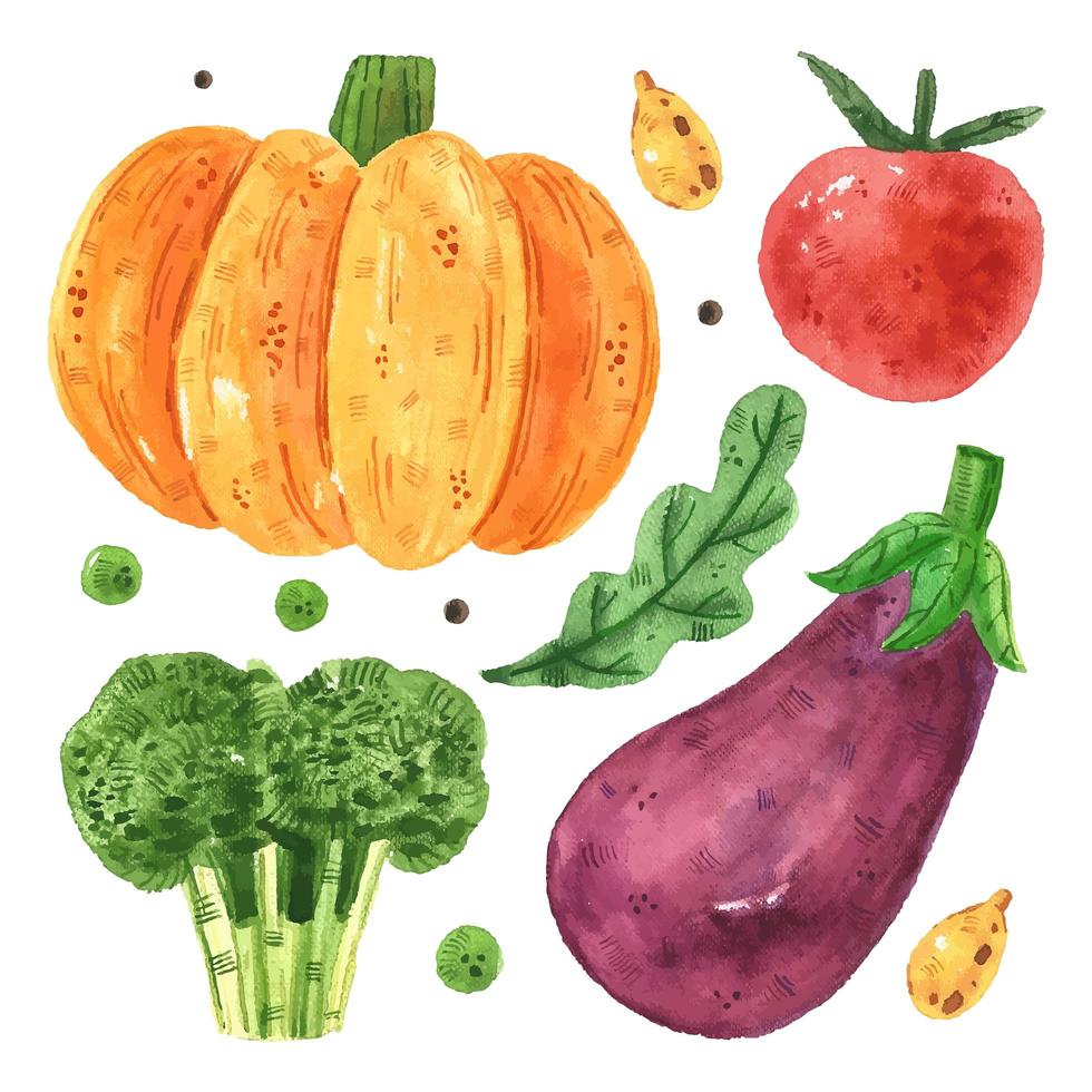 pompoen, tomaat, broccoli, aubergine. vector