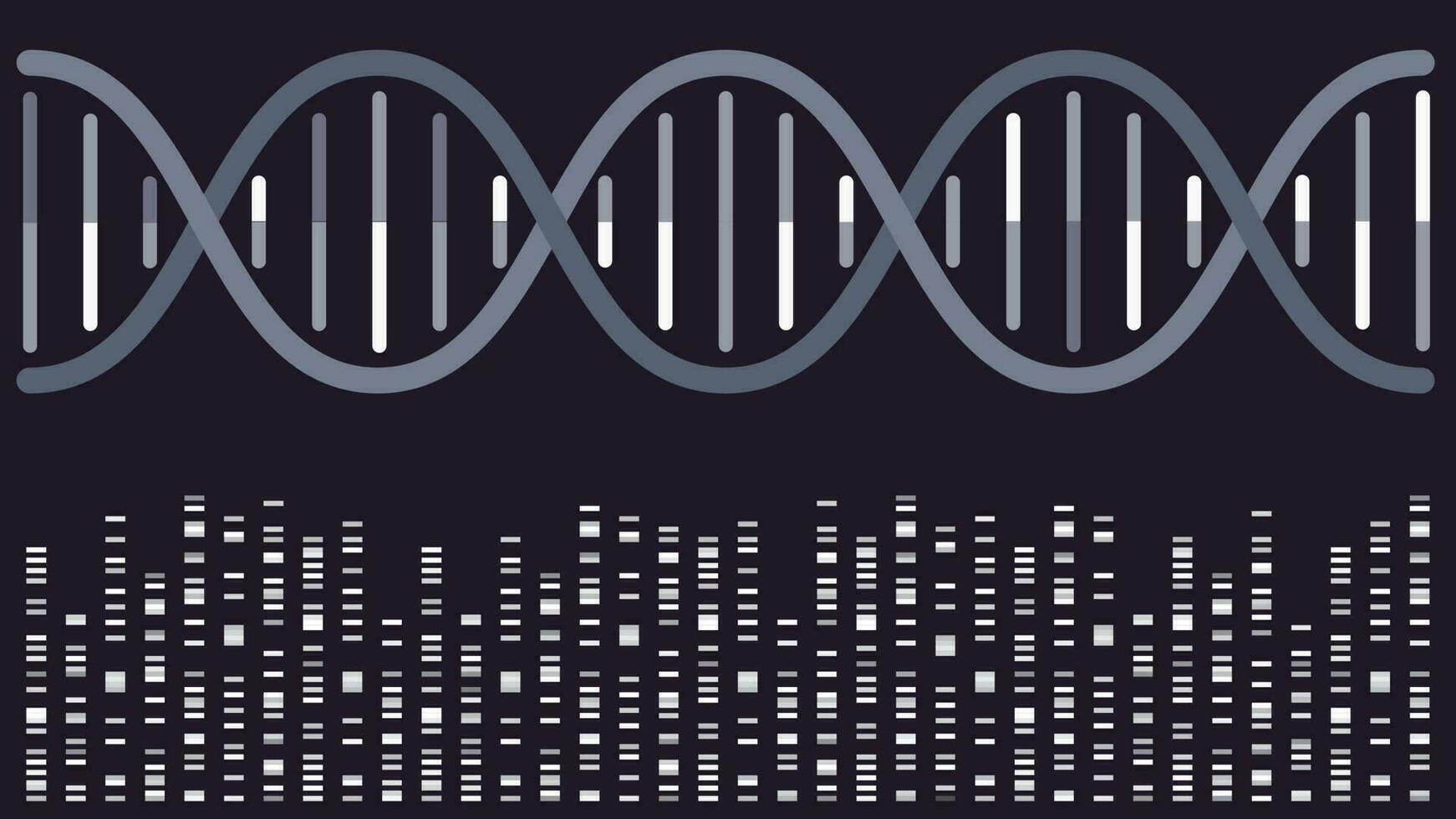 dna dubbele schroef met volgorde aanbrengen in bands vector illustratie achtergrond