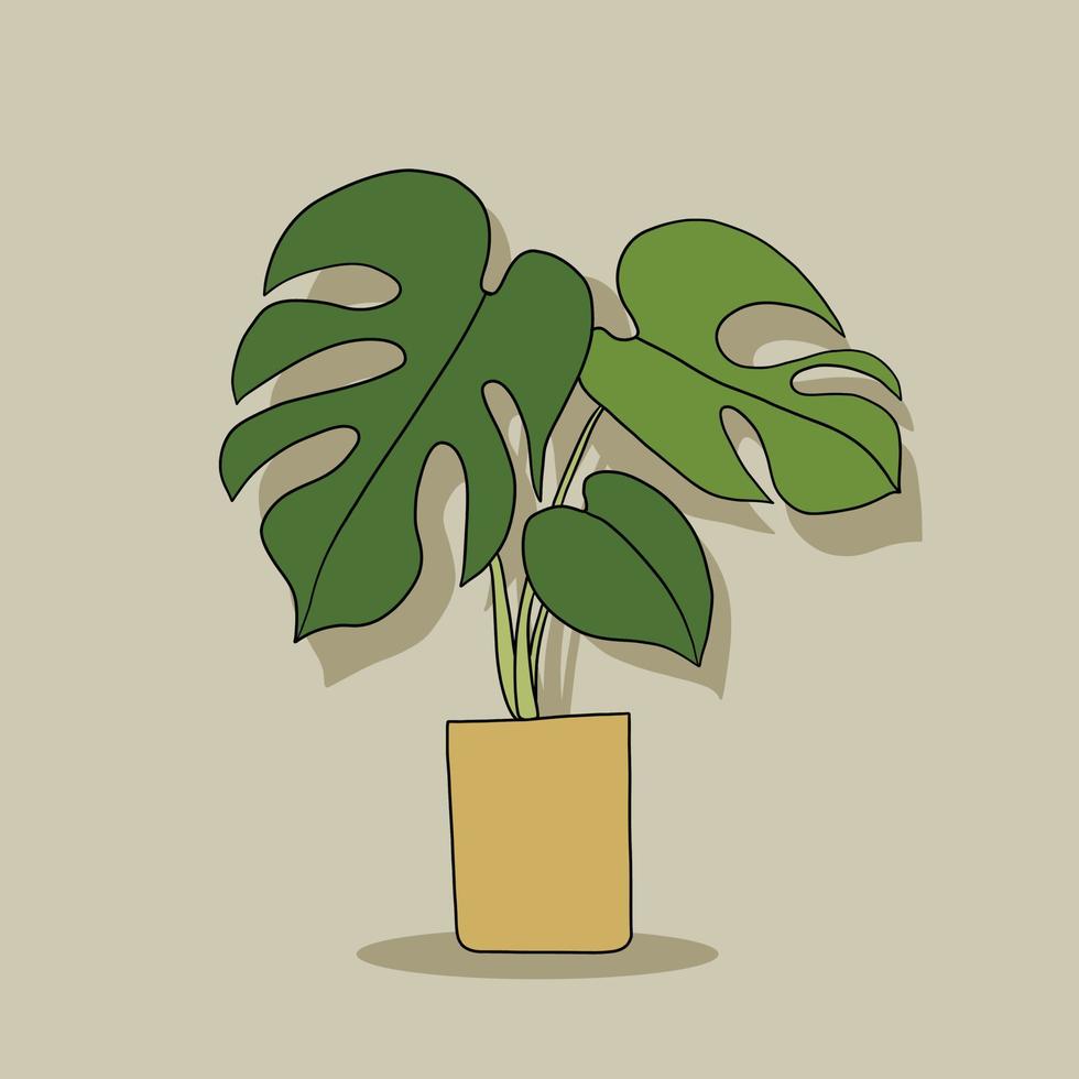 eenvoud monstera plant uit de vrije hand tekenen plat ontwerp. vector