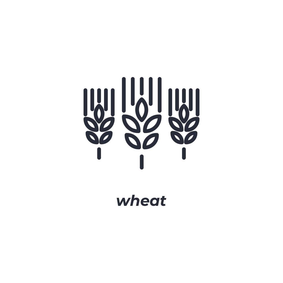 vector teken tarwe symbool is geïsoleerd Aan een wit achtergrond. icoon kleur bewerkbaar.