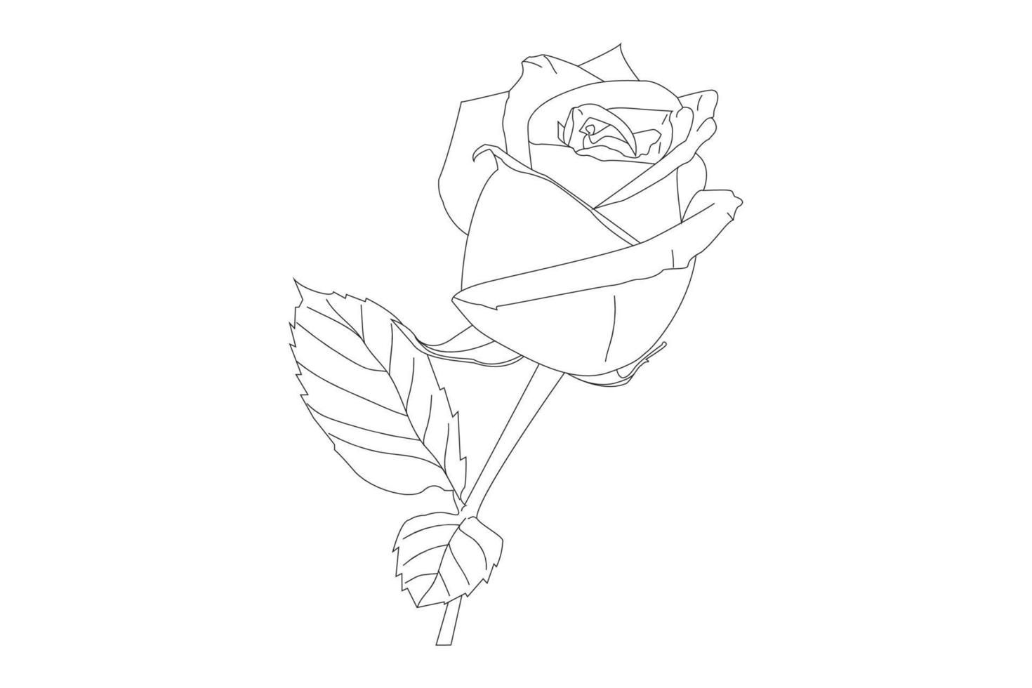 roze bloemen tekenen met lijntekeningen op een witte achtergrond. vector overzicht bloemen. lijntekeningen kleurplaat met rozen en bladeren
