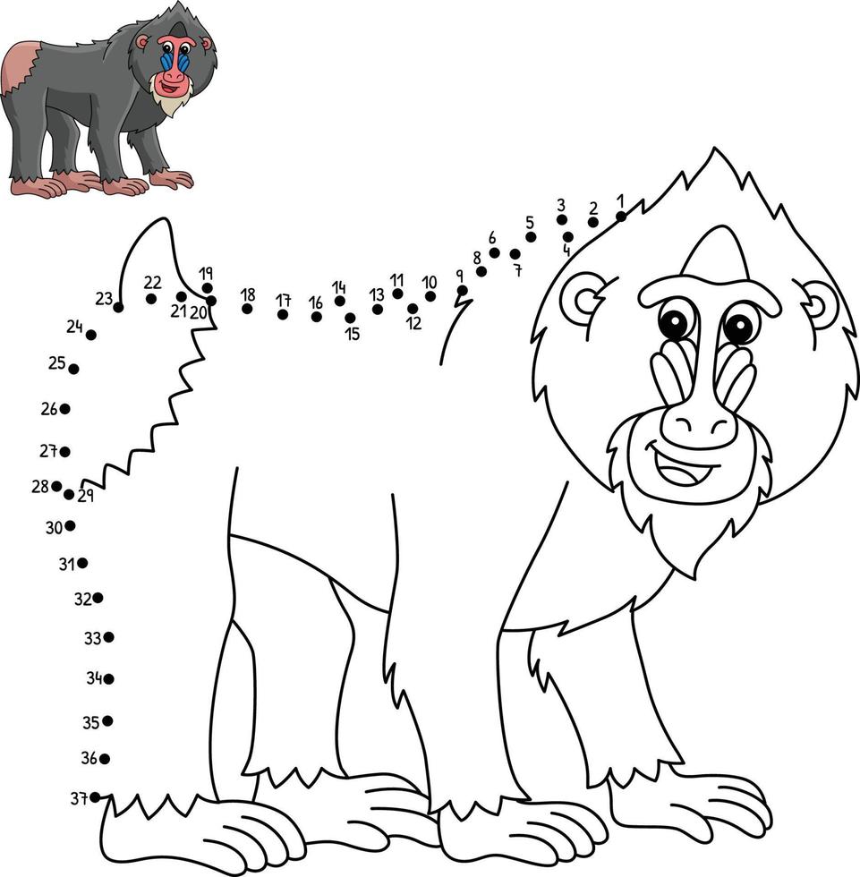 punt naar punt mandril dier geïsoleerd kleur bladzijde vector