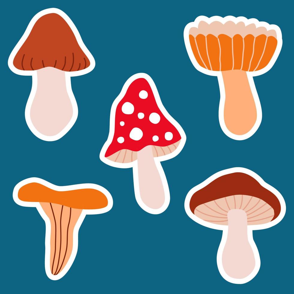 reeks stickers tekening champignons. schattig kinderachtig elementen. ontwerp voor poster, kaart, zak en t-shirt, omslag. baby stijl. vector tekenfilm illustratie.