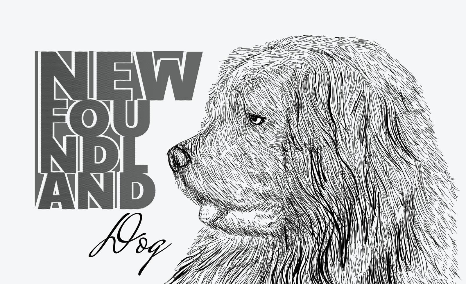 hand- getrokken illustratie met Newfoundland hond abstract borstel vector