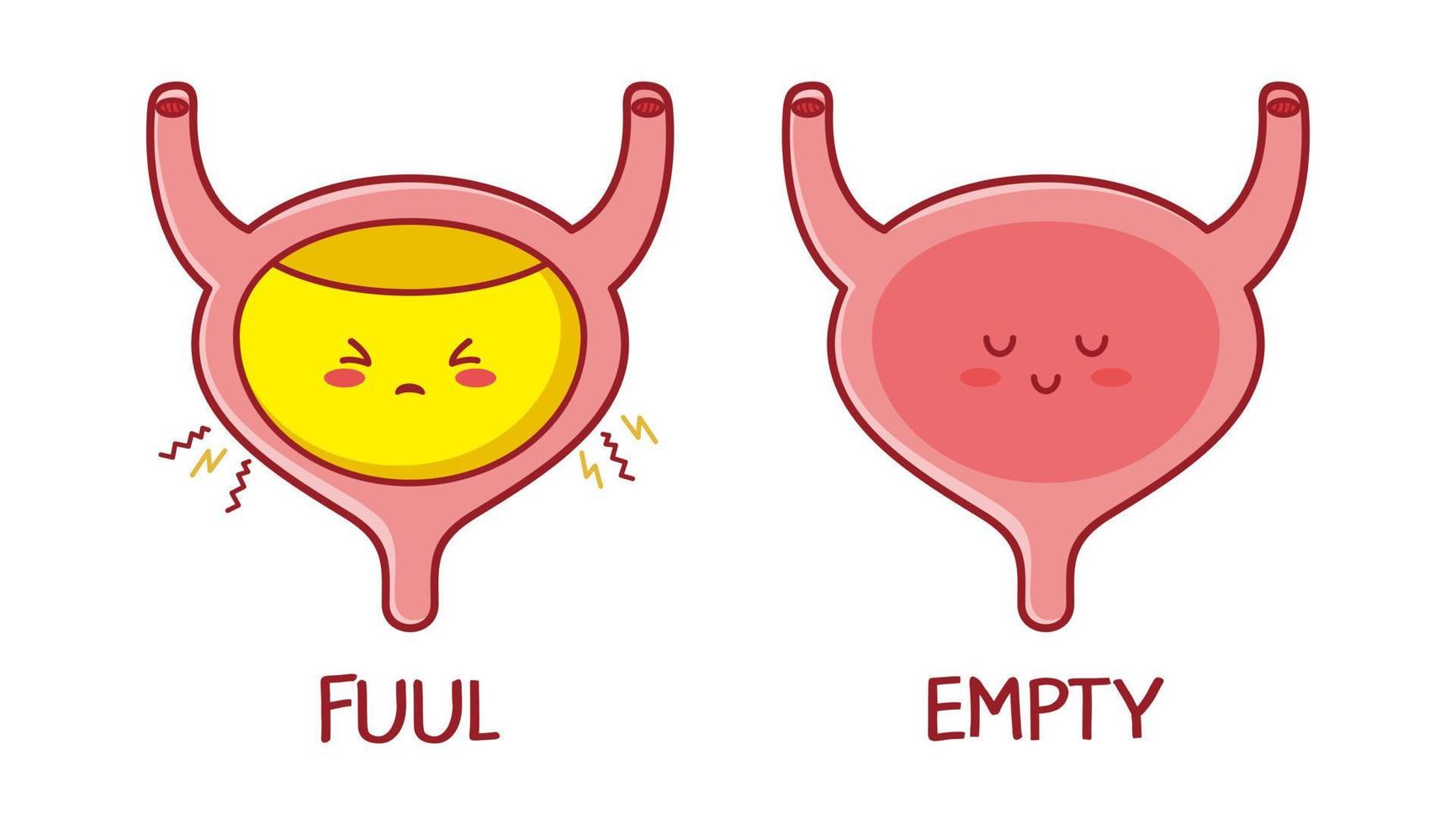 schattig kawaii vol en leeg menselijk blaas orgaan karakter. vector vlak lijn tekenfilm kawaii karakter illustratie icoon