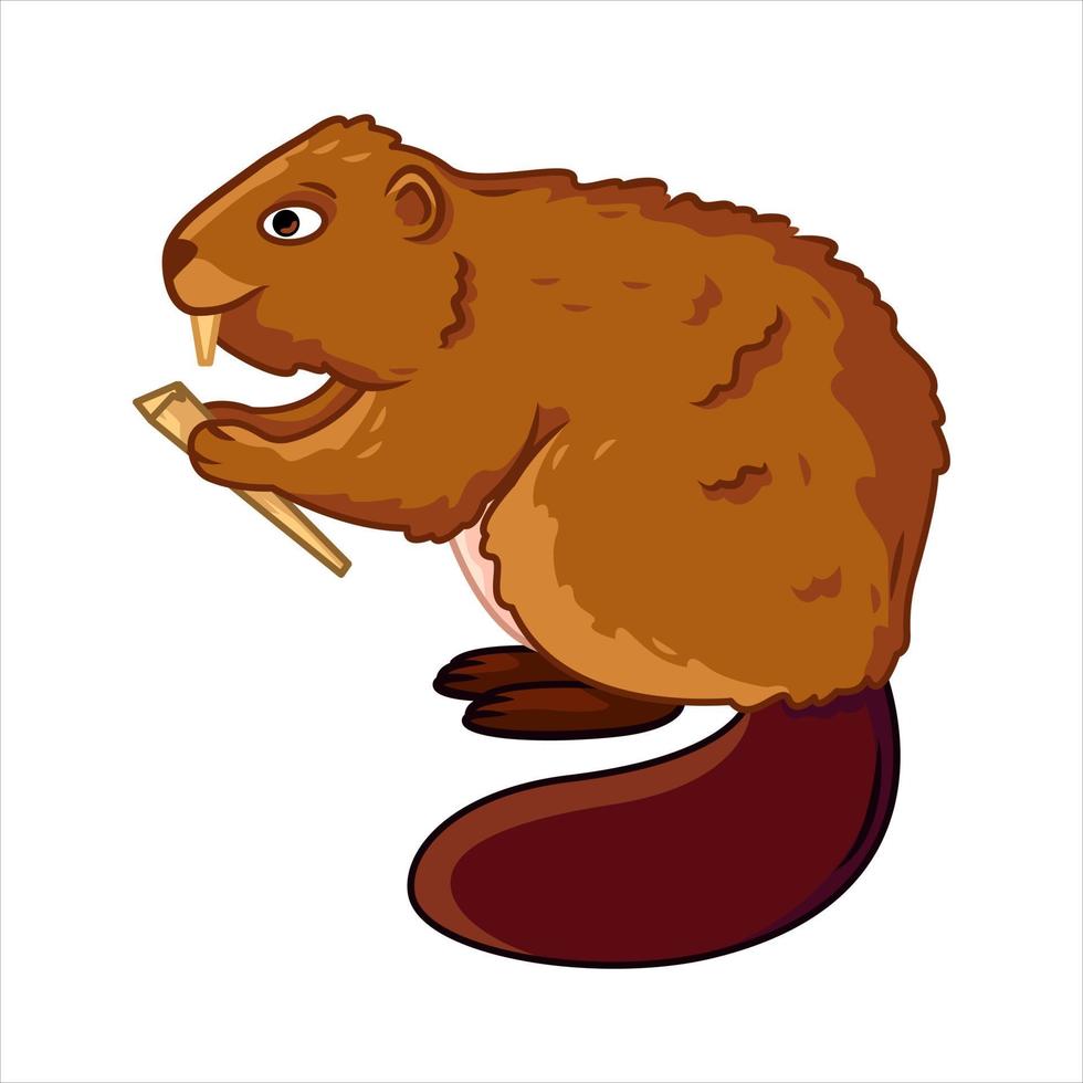 geïsoleerd beeld van een bever. schattig Woud dieren in tekenfilm stijl. vector illustratie