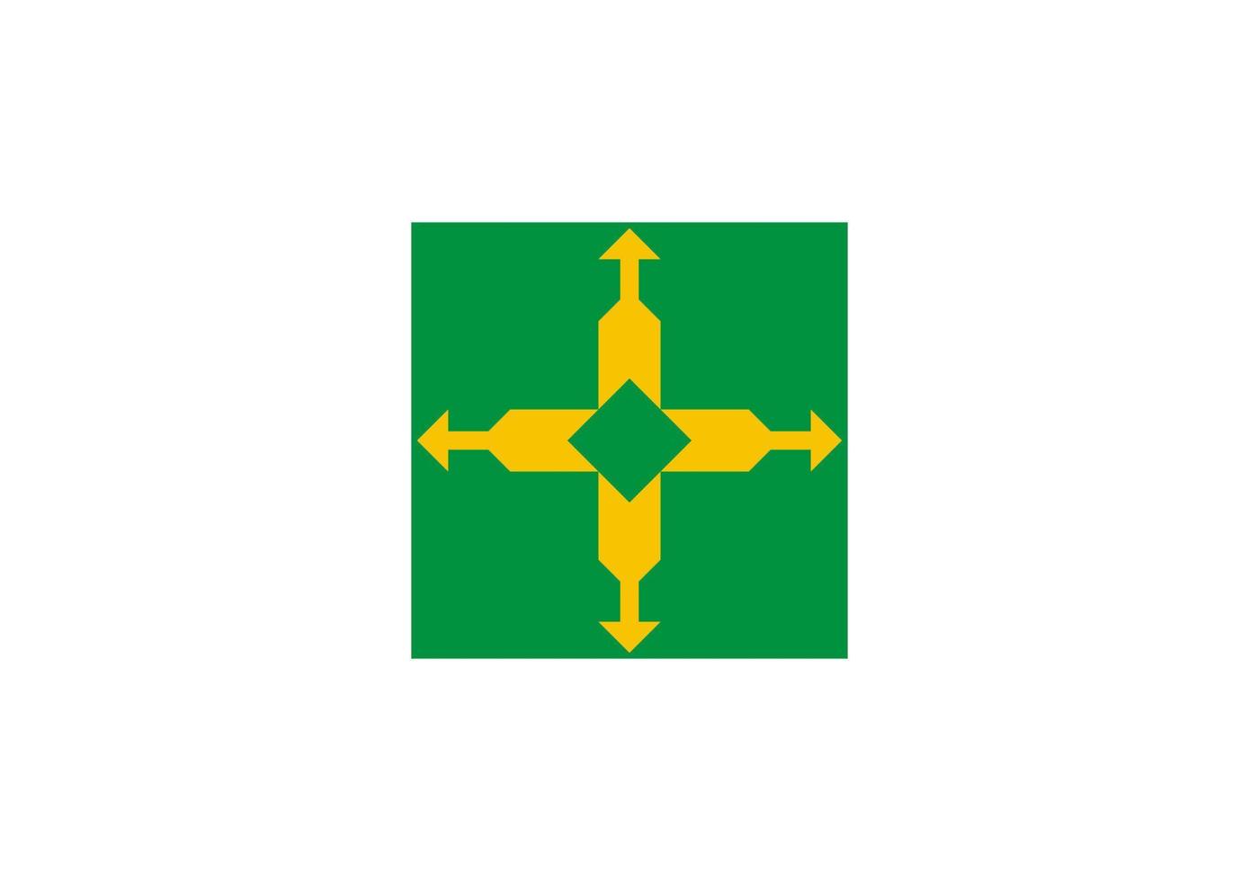 federaal wijk vlag, staat van Brazilië. vector illustratie.