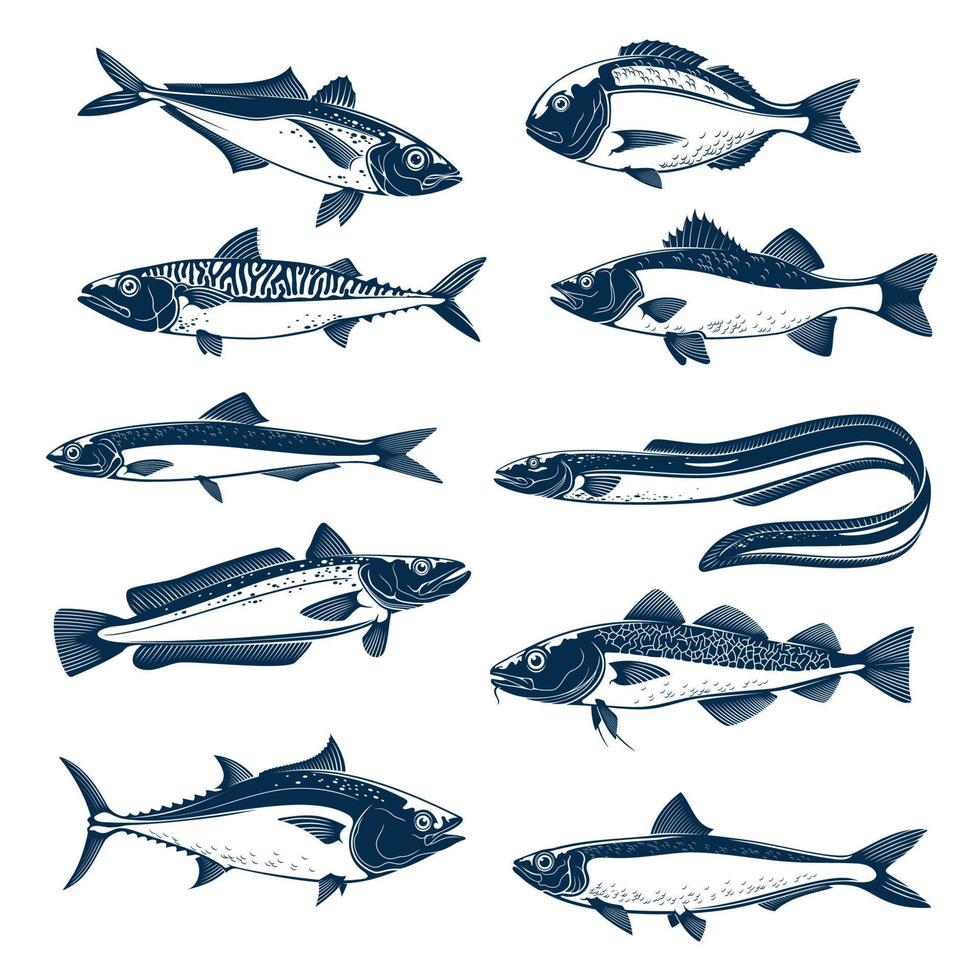 zee vis icoon reeks voor zeevruchten en visvangst ontwerp vector