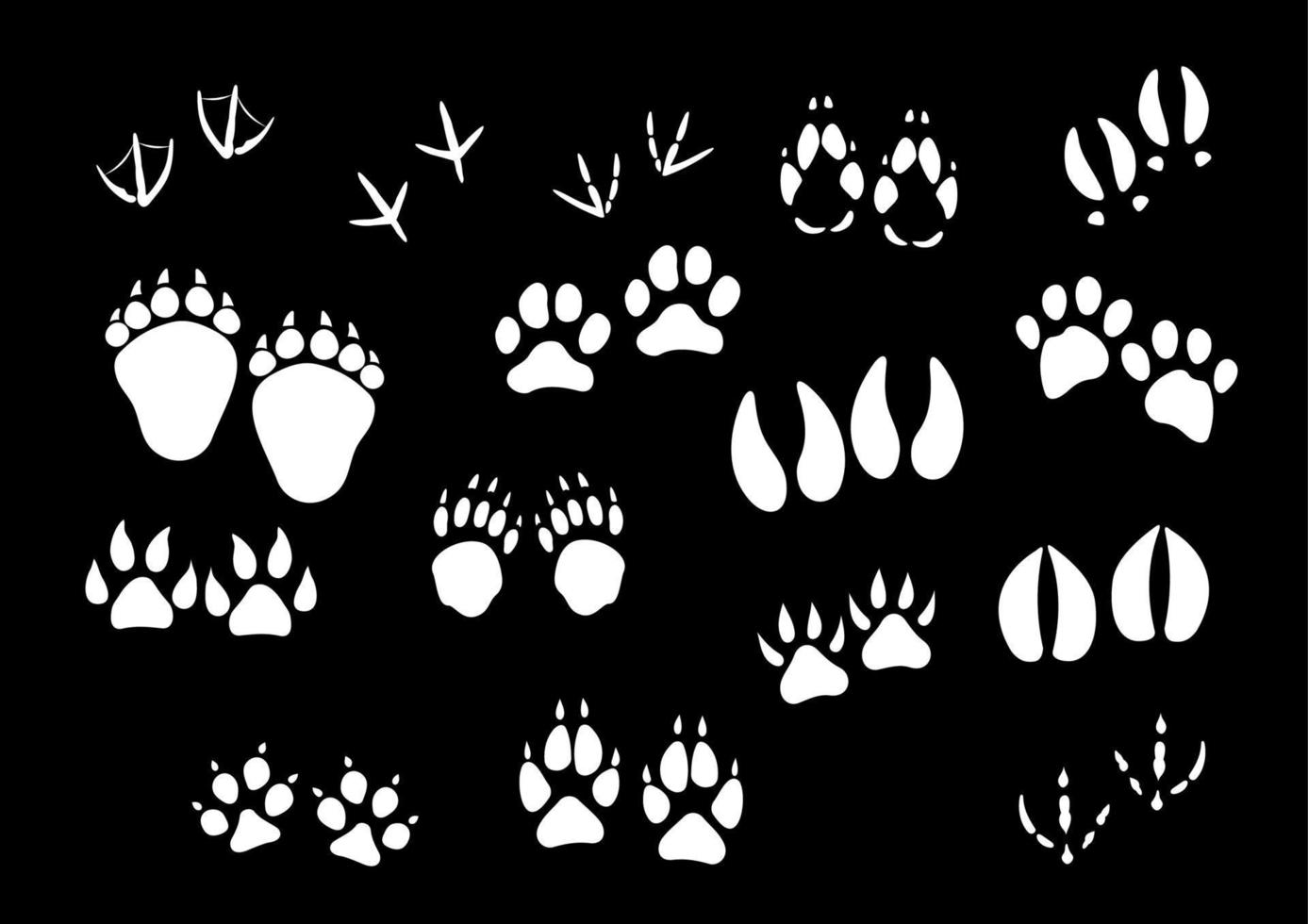 vector afdruk pictogrammen van dier of vogelstand voet poten