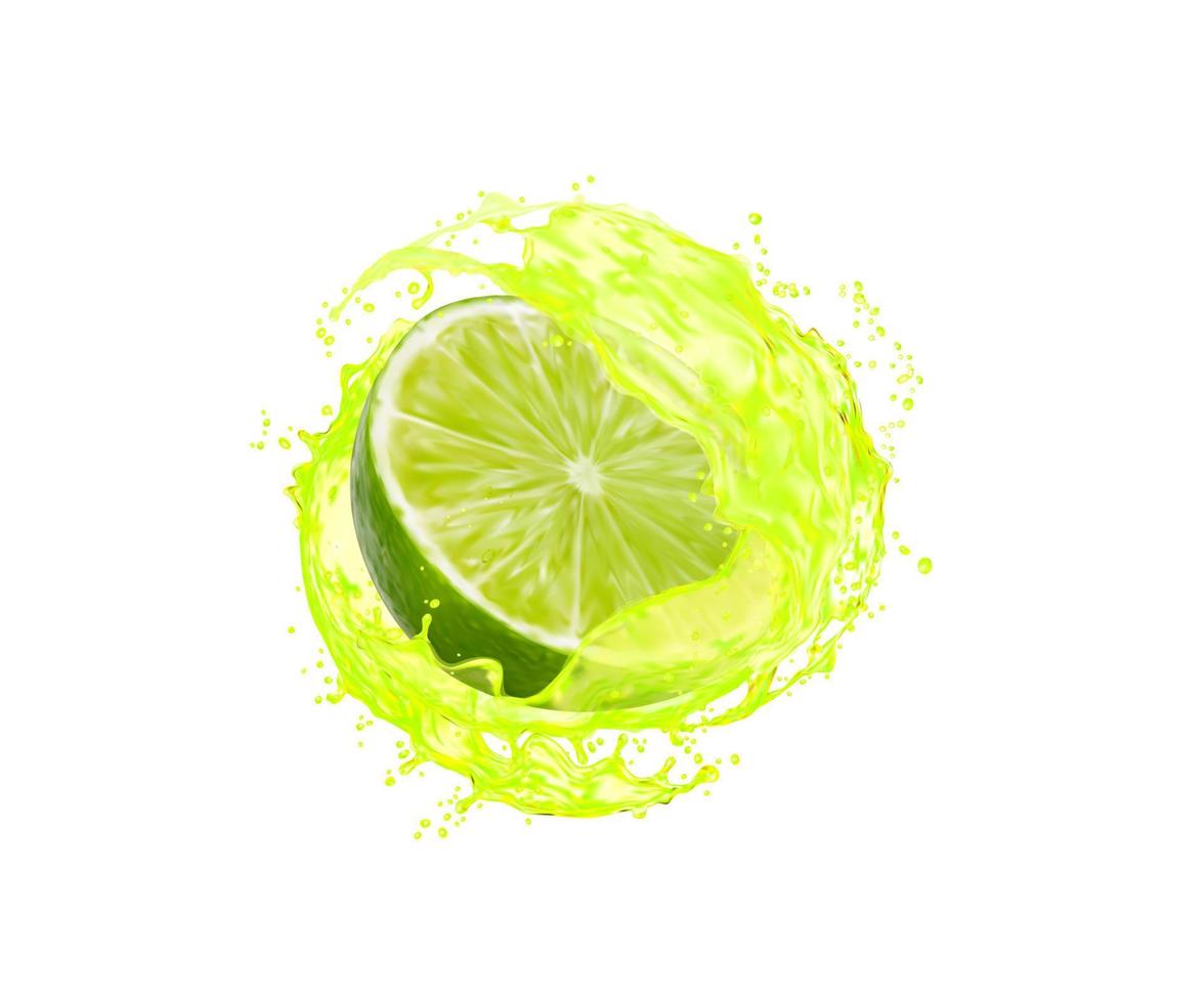 limoen fruit plak met sap plons, citrus Golf vector