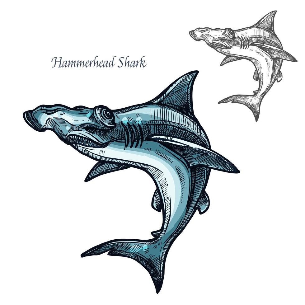 hamerhaai haai vis vector geïsoleerd schetsen icoon