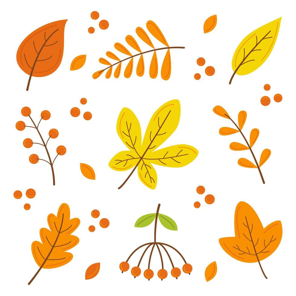 herfst set. vallen elementen. vector illustratie. herfst bladeren.