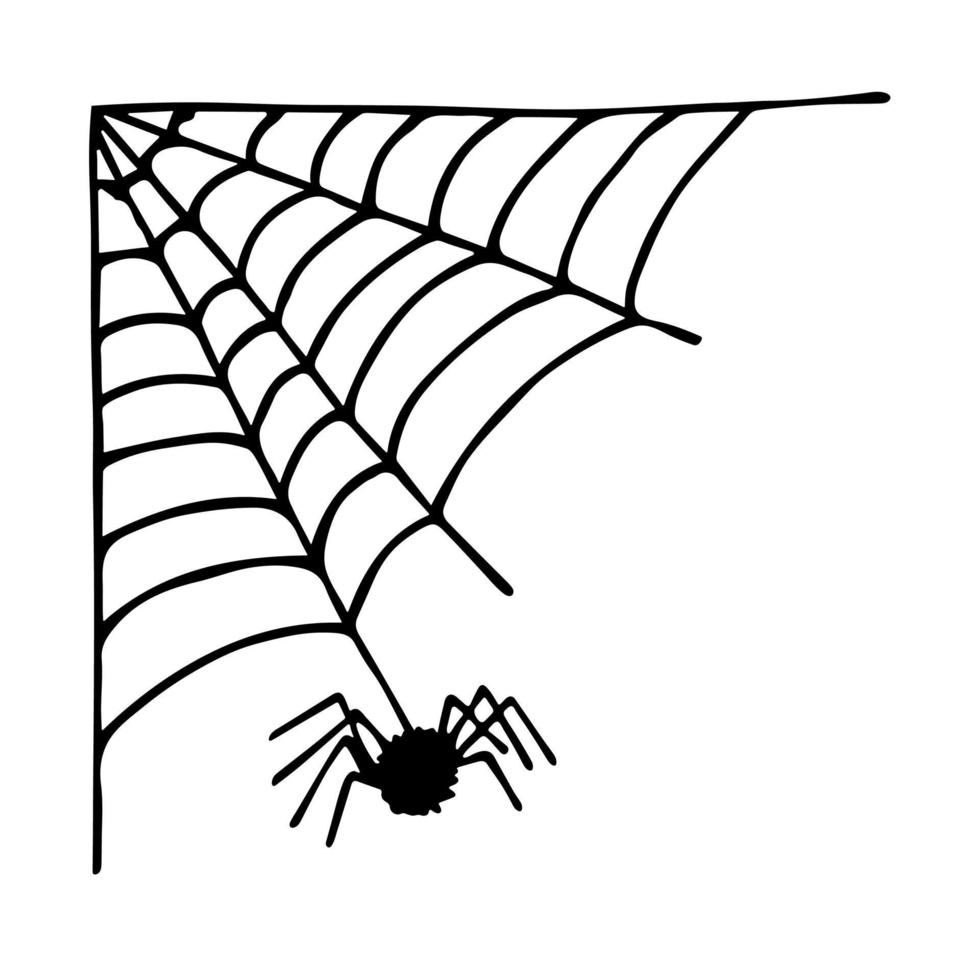 gemakkelijk hand- getrokken spin web illustratie. schattig flinterdun clip art. halloween tekening voor afdrukken, web, ontwerp, decor, logo vector
