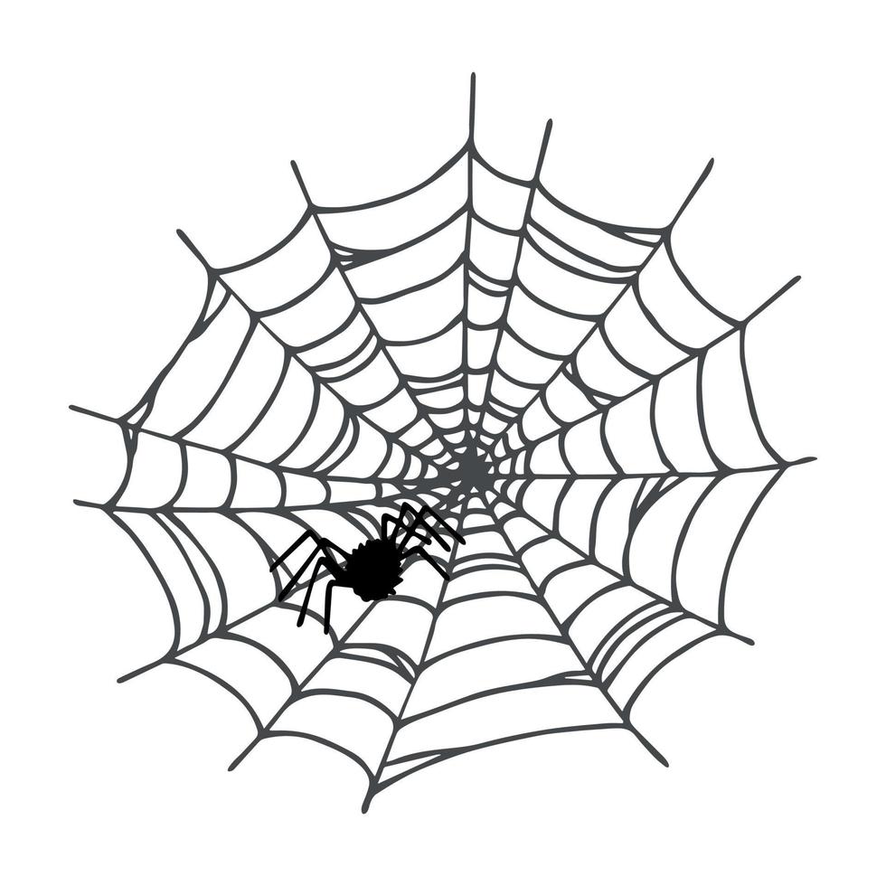 gemakkelijk hand- getrokken spin web illustratie. schattig flinterdun clip art. halloween tekening voor afdrukken, web, ontwerp, decor, logo vector