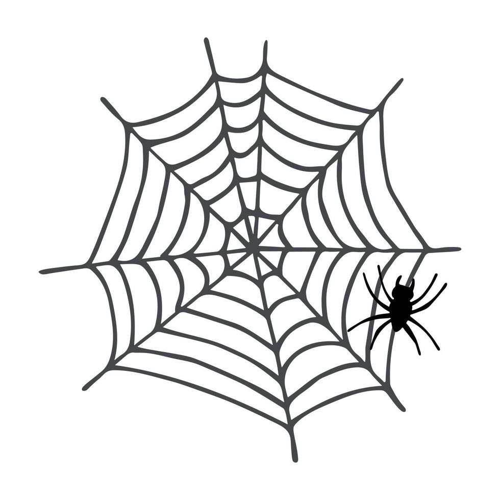 gemakkelijk hand- getrokken spin web illustratie. schattig flinterdun clip art. halloween tekening voor afdrukken, web, ontwerp, decor, logo vector