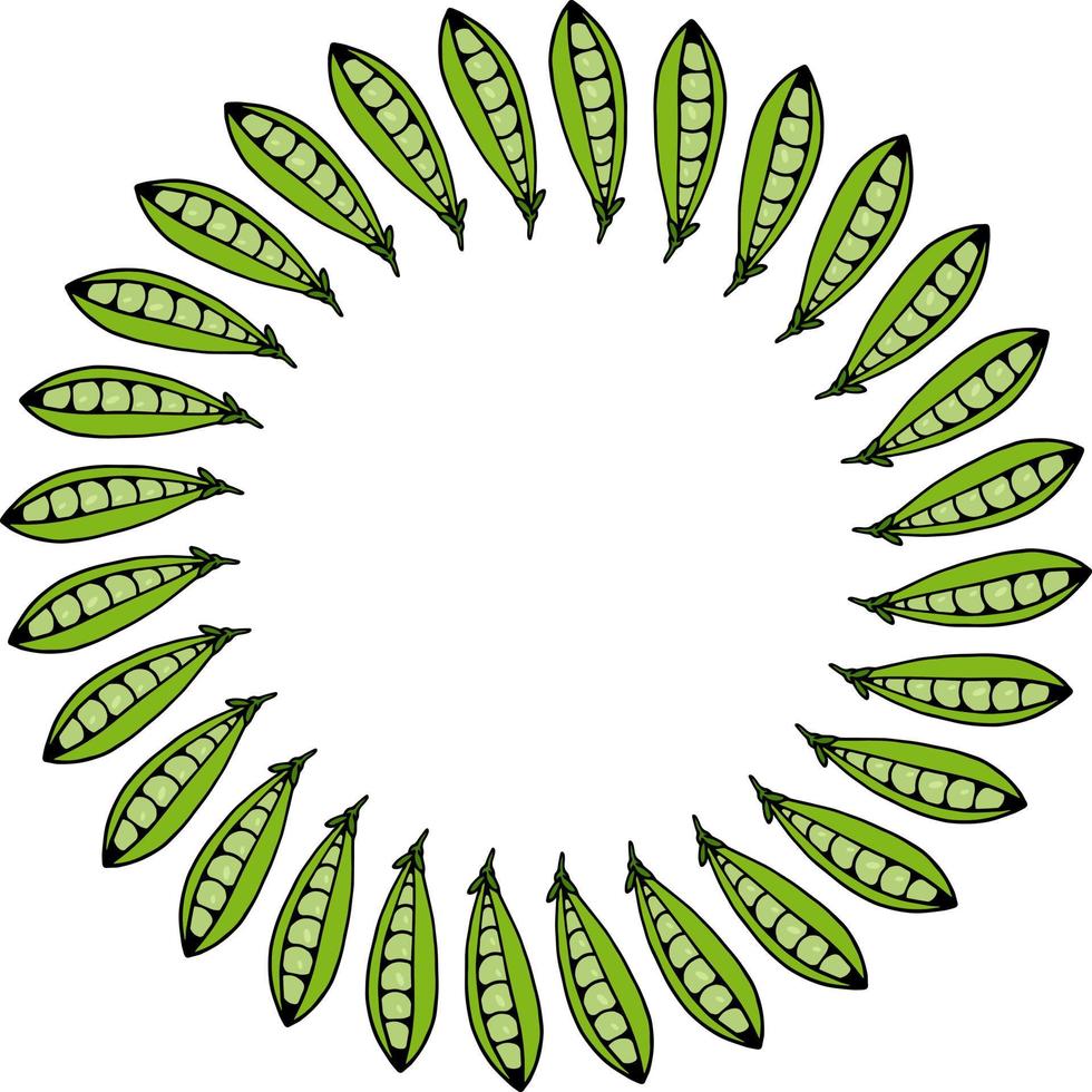 ronde kader met vers groen erwten Aan wit achtergrond. vector afbeelding.