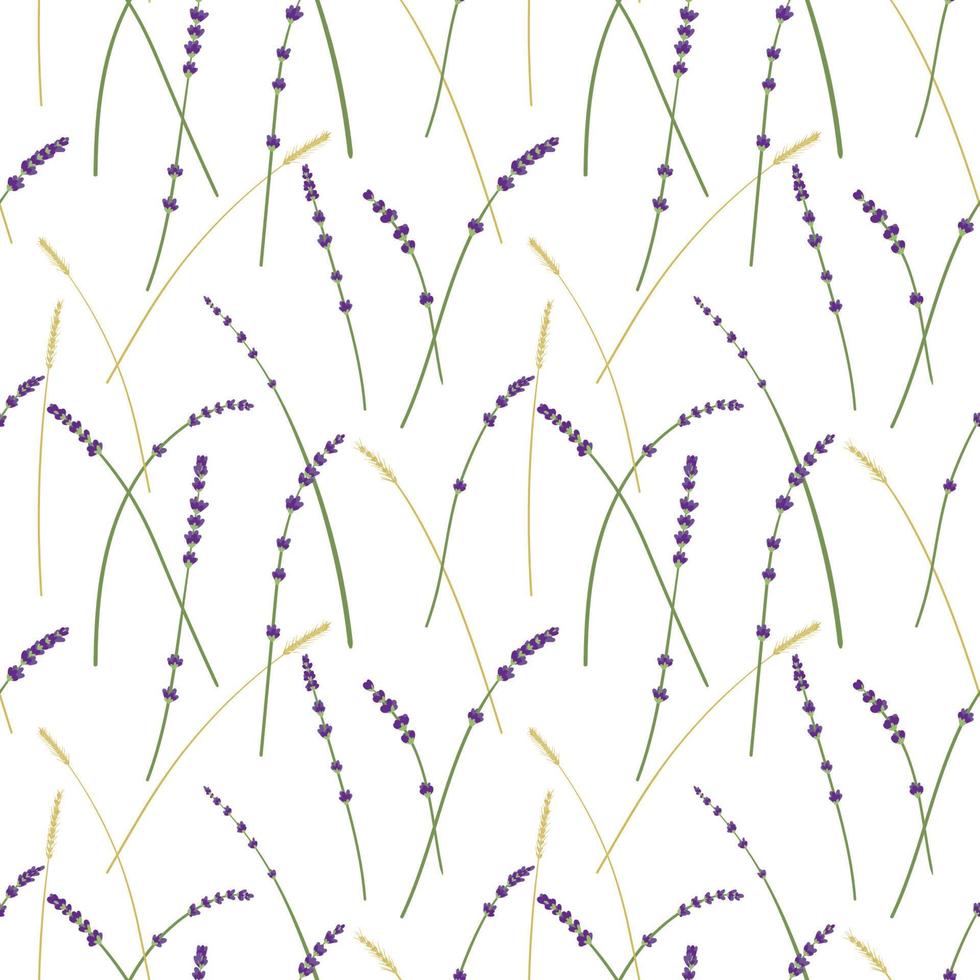 lavendel en tarwe patroon vector