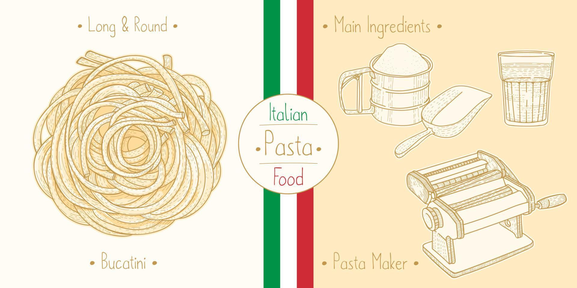 Koken Italiaans voedsel sphagetti-achtig pasta bucatini, ingrediënten en uitrusting vector