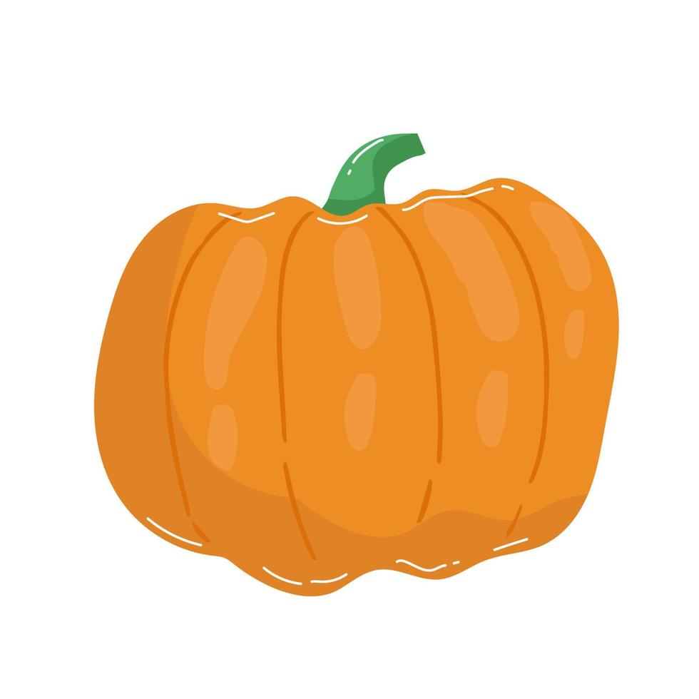 oranje pompoen vectorillustratie. herfst halloween pompoen, plantaardig grafisch pictogram of print, geïsoleerd op een witte achtergrond. vector