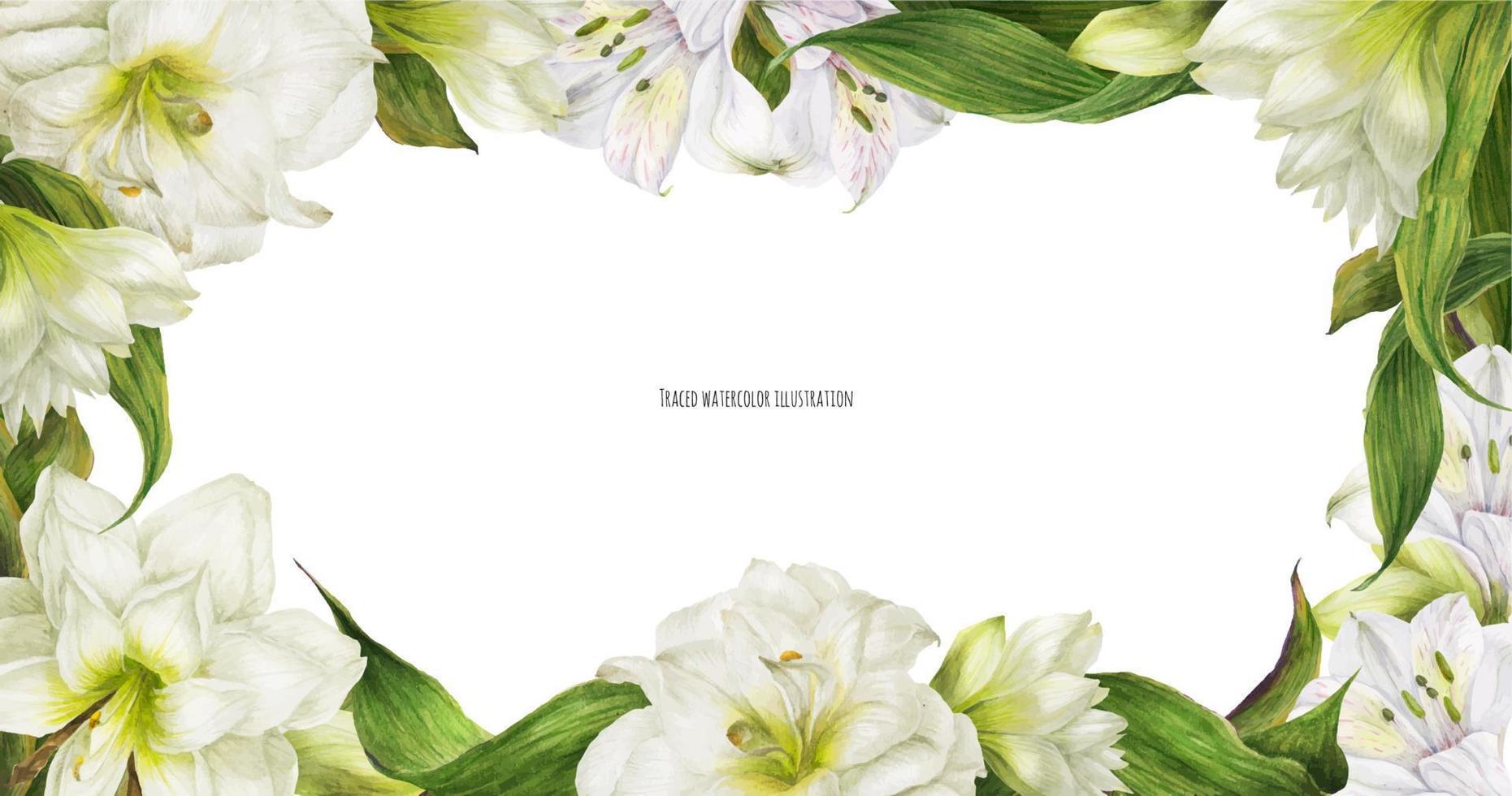 bloemenbanner met witte alstroemeria en hippeastrumbloemen vector
