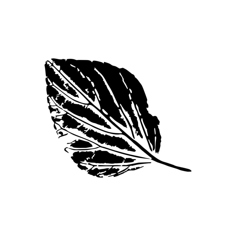 zwart afdruk van weegbree blad. geneeskrachtig natuurlijk gebladerte met geaderd ornamentiek en biologisch silhouet. botanisch behandeling en kruiden vector ikebana